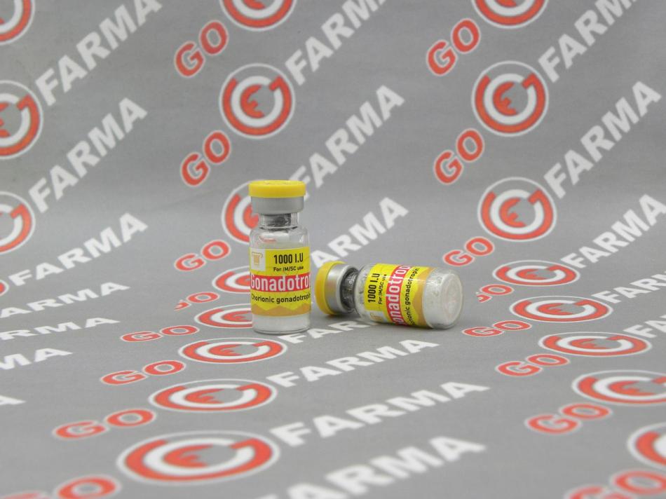 Olymp Gonadotropin