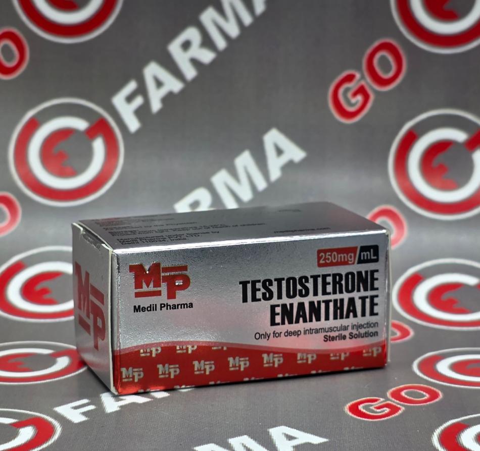 MP Testosterone E